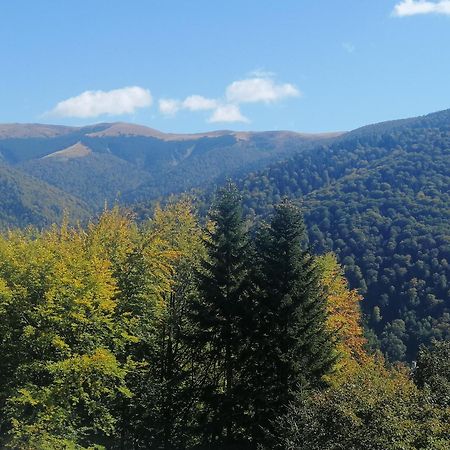 The Rock Apartment Sinaia Luaran gambar