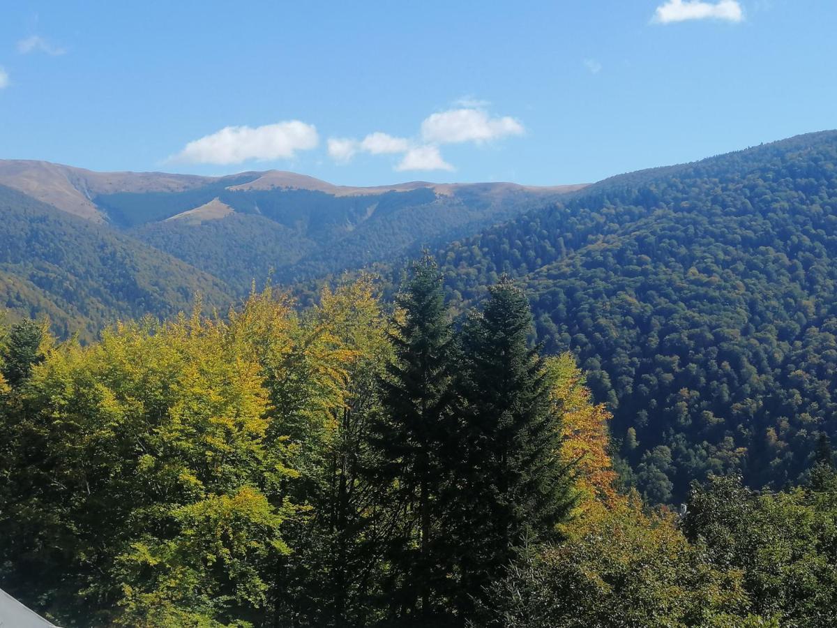 The Rock Apartment Sinaia Luaran gambar