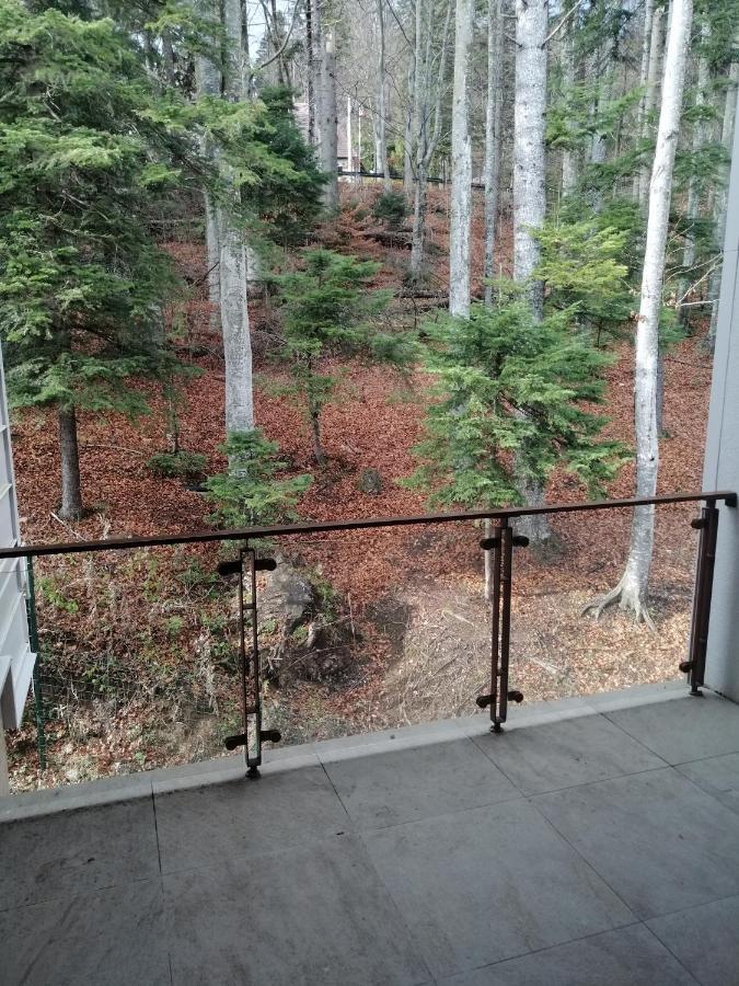 The Rock Apartment Sinaia Luaran gambar