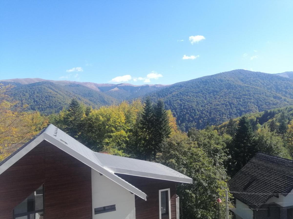 The Rock Apartment Sinaia Luaran gambar