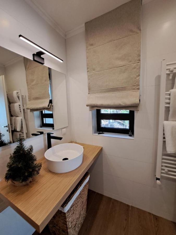 The Rock Apartment Sinaia Luaran gambar