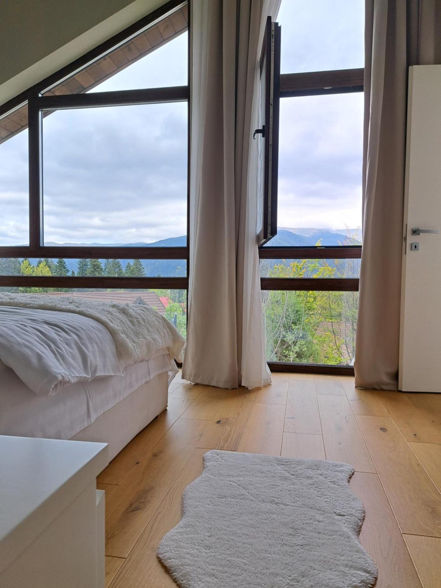 The Rock Apartment Sinaia Luaran gambar