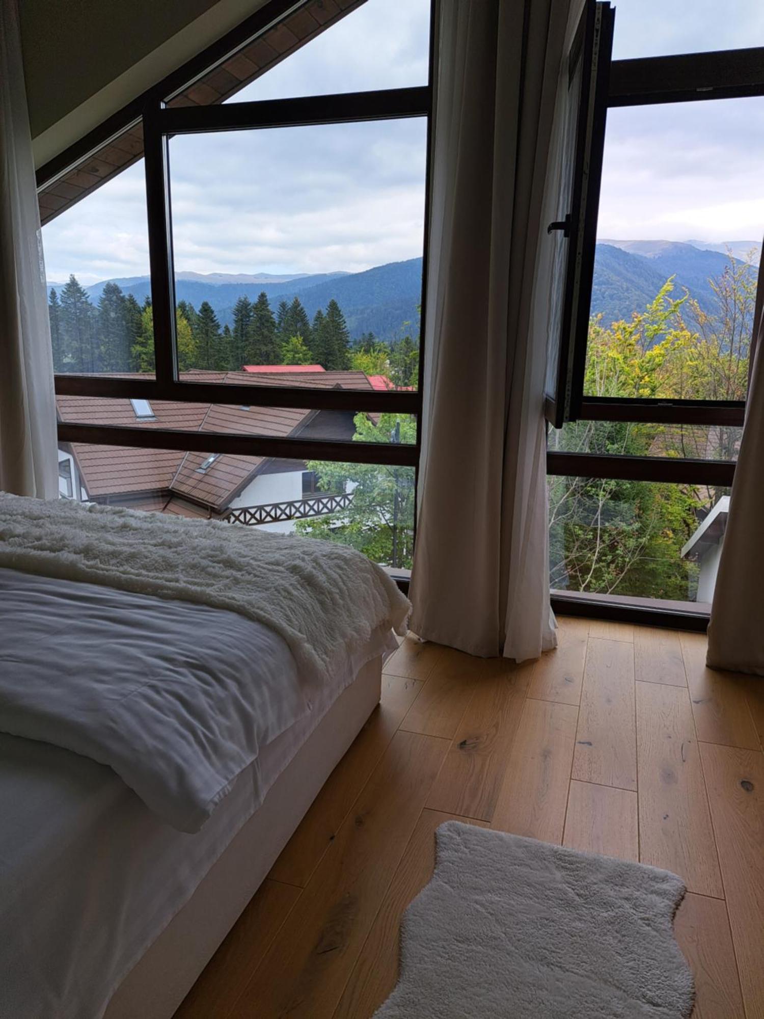 The Rock Apartment Sinaia Luaran gambar