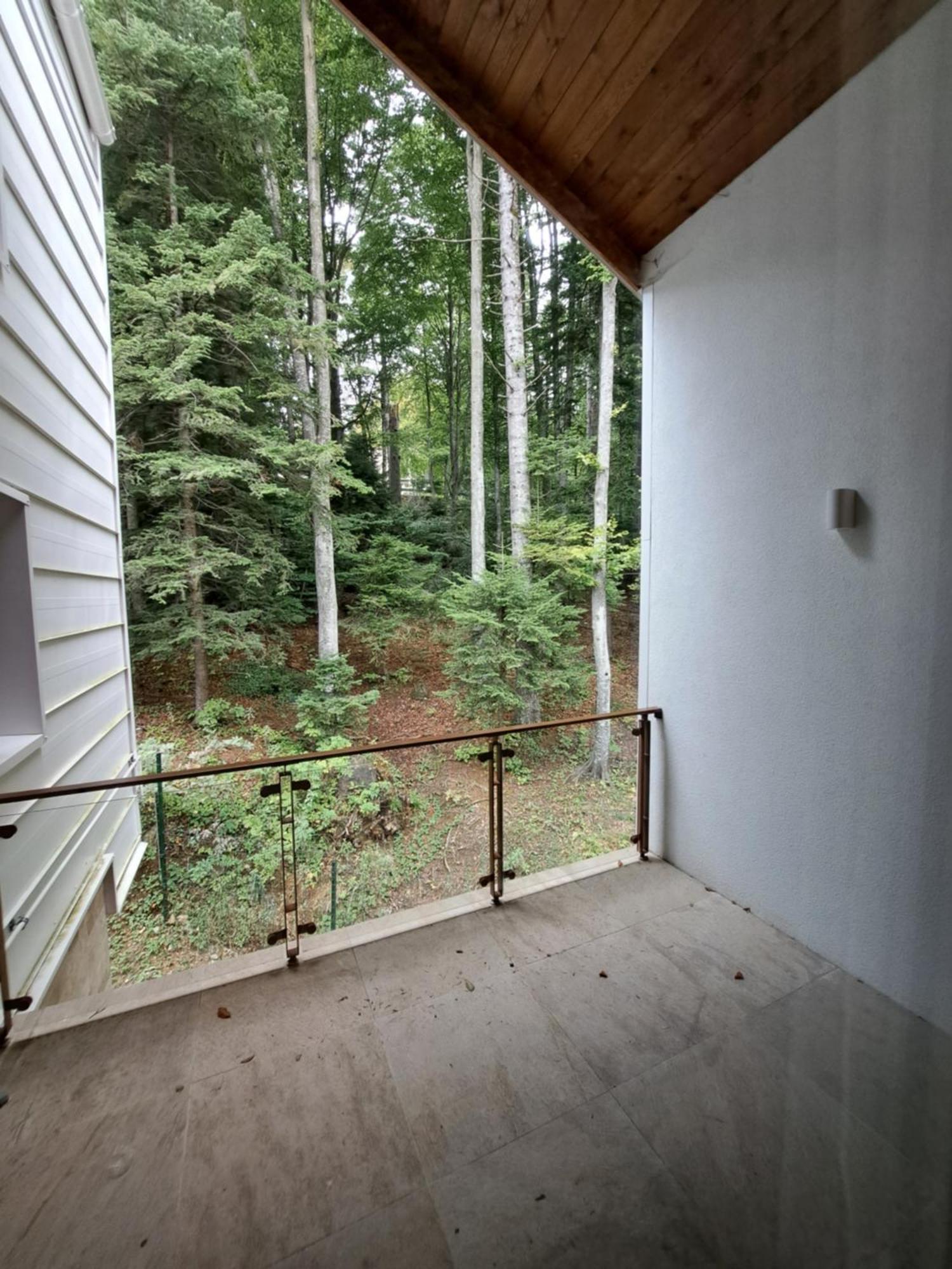 The Rock Apartment Sinaia Luaran gambar