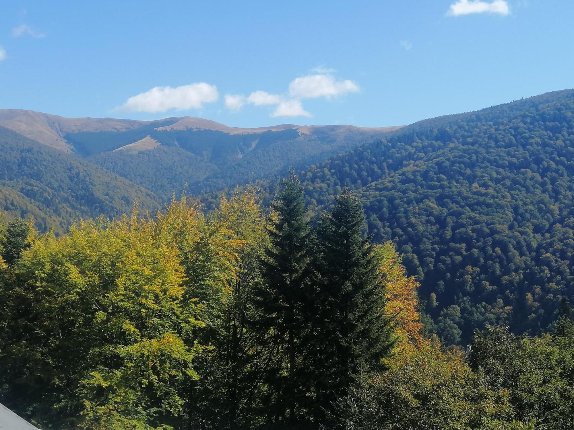 The Rock Apartment Sinaia Luaran gambar